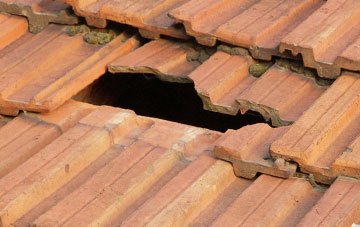 roof repair Chillaton, Devon